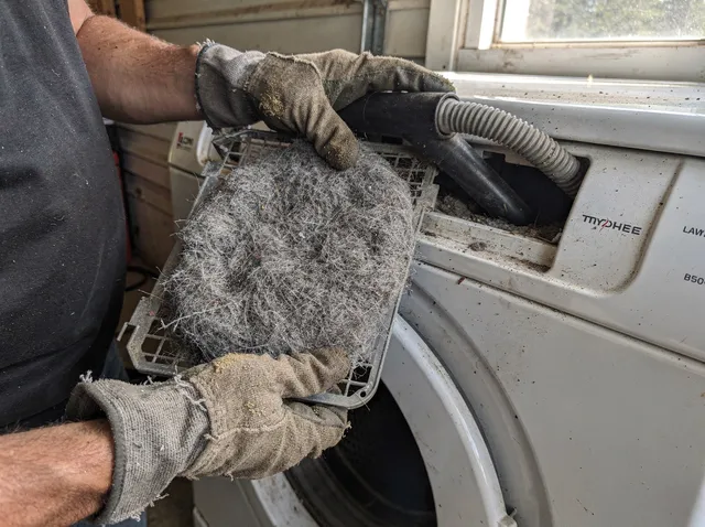 Cleaning Dryer Lint Trap in Lakewood